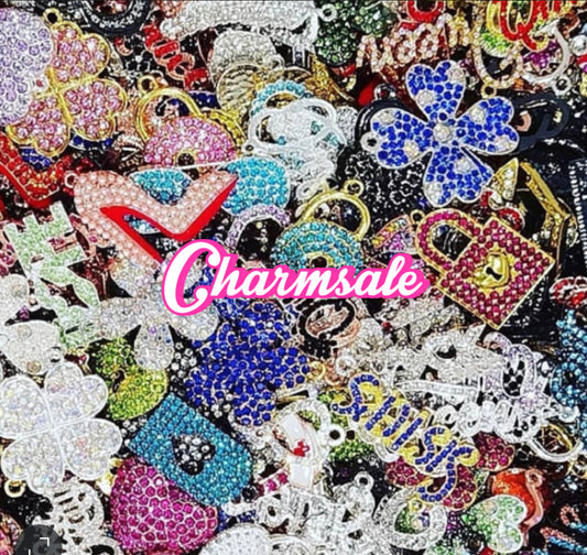 300 pcs colored bling bracelet charms $150.00