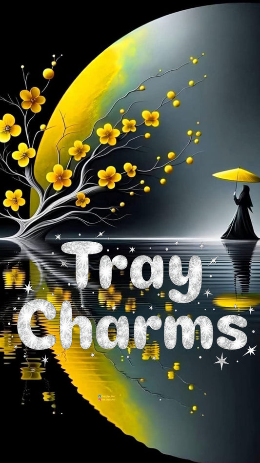 Tray charms bracelet charms